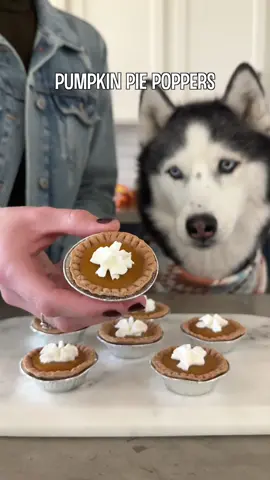 These mini pumpkin pie poppers are so fun and easy to make! They’ll be a hit with all the pups this Thanksgiving 🦃 Ingredients:  2/3 cup wheat flour (can be substituted with any preferred flour like coconut, almond or oat flour but the amount needed will vary)  1/4 cup unsweetened apple sauce  1/8 cup coconut oil  1 tsp agar agar powder  1/3 cup cold water  1/2 cup pumpkin  Whipped cream optional  Directions: 1. Combine flour, apple sauce and coconut oil in a bowl and combine until it forms a dough.  2. Roll it out flat and add it to a mini pie pan. The ones I’m using are from Amazon and liked in our bio. Bake them at 350 degrees for 10 minutes.  3. For the filling combine agar agar with cold water, let it sit for 10 minutes to soften and then microwave for 1:30 minutes to activate. Add pumpkin purée and mix together.  4. Add pumpkin filling to your cooled pie crust and refrigerate for 30 minutes. Whipped cream is optional, and enjoy!