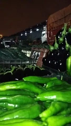 بيع جميع انواع الخضروات بالجمله #H61 #خضر_بالجملة #سوق_الجملة 