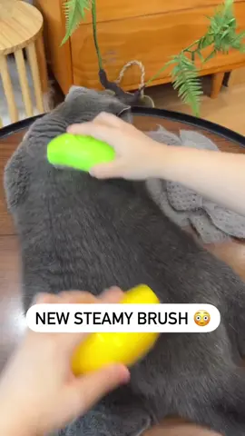 • 🐾 Pamper your furry friend with PetSoothe™! Our electric spray massage comb is the ultimate treat for your pet's relaxation and grooming needs. Let the soothing experience begin! 💆‍♂️ 🔗 Order Yours Now Here👇 🔗 https://buff.ly/47B233W 🚨Black Friday SALE 70% OFF + Free Shipping Worldwide Black Friday ’s 𝐬𝐚𝐥𝐞 𝐢𝐬 𝐫𝐮𝐧𝐧𝐢𝐧𝐠💥70% OFF + Free Shipping Worldwide 🎯💰💥 CC: To the designated owner of the content 📣 Follow TumTum ▶️ Tag someone who would love this. ➡️🔗 Visit https://buff.ly/3PHgego 🎯 Want to sell on TumTum? Email us! 💰Become one of our affiliates and start making money from your own social media! Join our Affiliate system now! 📧 Email us: support@TumTum.shop 📣 Use #TumTum to get featured TumTum . . . . #PetSootheMagic #RelaxingPets #GroomingEssentials #ElectricComb #PamperedPets #FurTherapy #SoothingSprays #PetCarePro #RelaxationStation #GroomingBliss