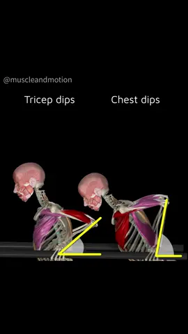 Unlock the Power of Dips: Chest Dips vs. Triceps Dips 💪🔵 Chest Dips: 👉Large angle between the forearm and the bar. 👉 Hand position: wider than shoulder-width apart.  👉 Body angle: hips back, lean forward slightly. 🔎Focus more on shoulder movement rather than elbow movement  🔴 Triceps Dips: 👉Smaller angle between the forearm and the bar. 👉 Hand position: shoulder-width apart. 👉 Body angle: keep your torso upright. 🔎Focus on moving your body vertically by flexing your elbows. Both dips engage your chest, triceps, and shoulders, but each variation can help you focus on specific goals.  Want better training results? Check out our STRENGTH TRAINING APP link in the bio!    #Dips #StrengthTraining #UpperBodyWorkout #ChestDips #TricepsDips  ##WorkoutTechnique #StrengthTrainingApp #TrainSmart #FitnessEducation  #MuscleFocus #WorkoutWisdom #ExerciseTips #muscleandmotion 