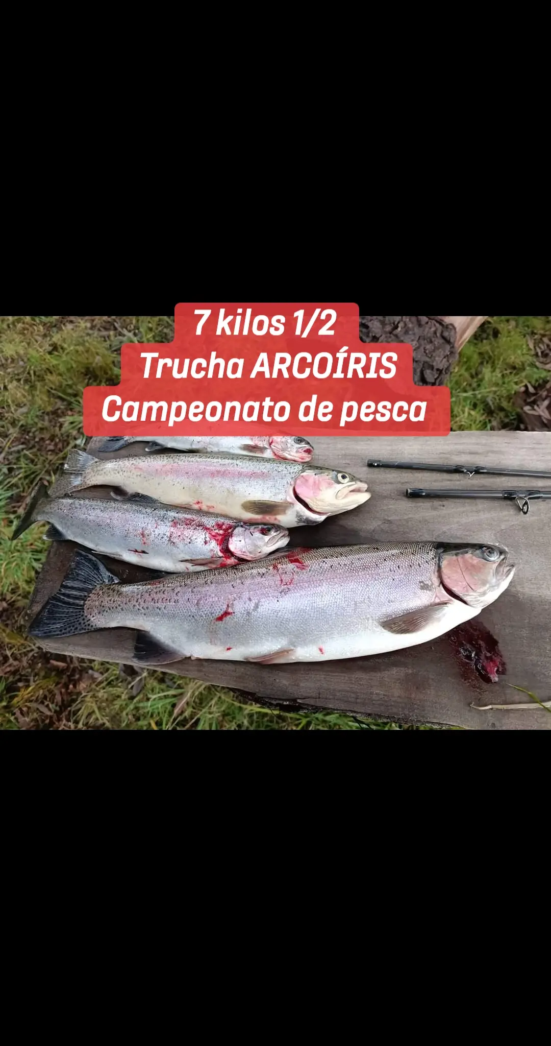 Hermosas PIEZAS 