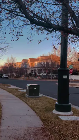 #usa #usalife🇺🇸 #foryoupage #americanlife #vibes #neighborhood #aesthetic #colorado 
