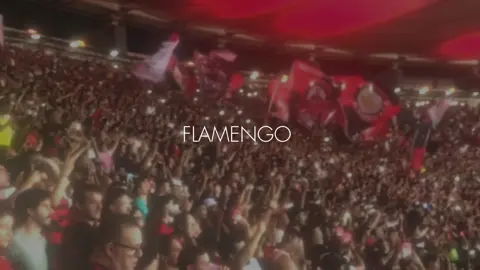 eu nasci pra te amar! 🫀 | #flamengo #mengo #crf #viral #foryou #fyyyyyyyyyyyyyyyy 