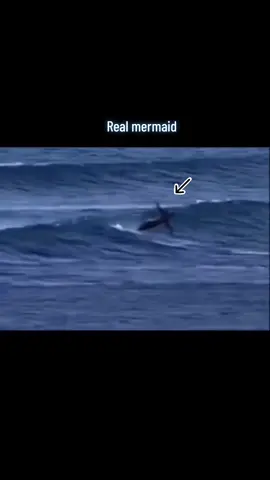 #real mermaid caught on camera #siren #ocean #fyp