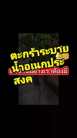 ติดครัวไว้สักชุด💁#ตะกร้าระบายน้ําอเนกประสงค์ #ตะกร้าระบายน้ํา #ตะกร้ากรองเศษอาหาร 