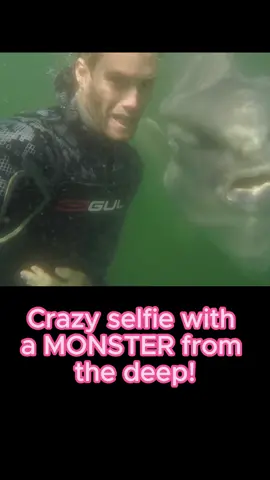 Crazy selfie with a MONSTER from the deep!#fish #fishing #fishtok #fisherman #fishinglife #fishingtiktoks