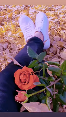 #fypシ #sadvibes #romanticsong #unfrezzmyaccount #uktiktok🇬🇧uk🍂🍁♥️#J#jassy 