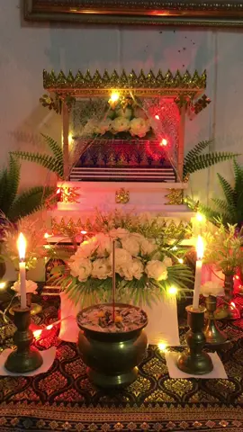 งานศพปลากัด #งานศพ #จัดงานศพสัตว์ #งานศพสัตว์ 