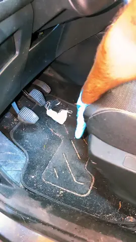 💣 Explosion de propreté dans cette Citroën rempli de poils de chien! 💥✨  #CleanTok #bubbleauto #asmr #satisfying 