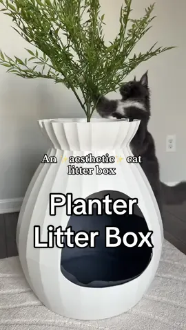 @Petterm was kind enough to gift us this, but as always these are my honest thoughts and opinions 🥰 #cats #catlitterbox #aestheticcatfinds #plantlitterbox #catfinds #moderncatfurniture 