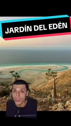 ENCUENTRAN EL JARDÍN DEL EDÉN. #nuevomilenio #curiosidades #socotra #greenscreen 
