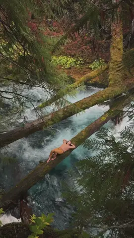 everything is connected 