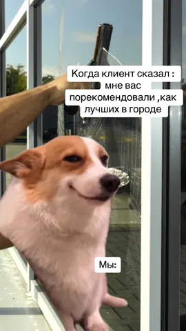 Клининговая компания AS CLEANING 😍 #recomandari#moldova#chisinau#clining#молдова#клининговыеуслуги #Meme #MemeCut 