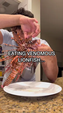 This invasive monsters will NOT roam on my watch 😤 #lionfish #lionfishextermination #cookingfish #venomousfish 