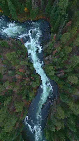 Embracing the crisp cool air of autumn, watching this raging river cut its way through the heart of the forest 😌 #riverscape #river #fall #autumn #Outdoors #aerial #dji #god #naturesbeauty #oregon #pnwcollective 