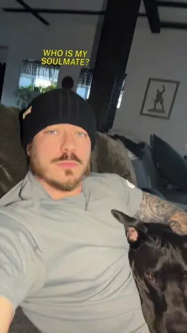 Makes sense.. 😅 #WillandWesson #MySoulmate #dogsoftiktok 