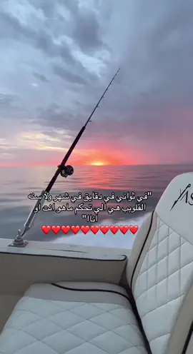 القلوب اللي تحكم 💖#عبدالمحيد_عبدالله #القلوب_🤍 #حركة_الاكسبلور 