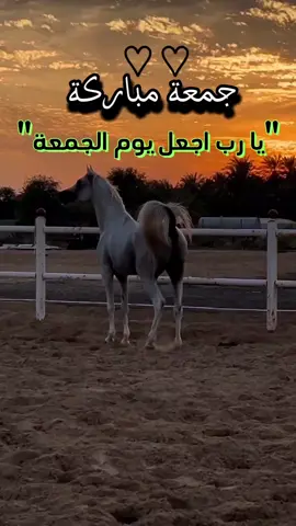 #جمعة_مباركة #صلوا_على_رسول_الله #فولو❤️  #تصميم_خيل #اللهم_صلي_على_نبينا_محمد #الله#عاشق_الخيل_nour💖 #اكسبلورexplore 