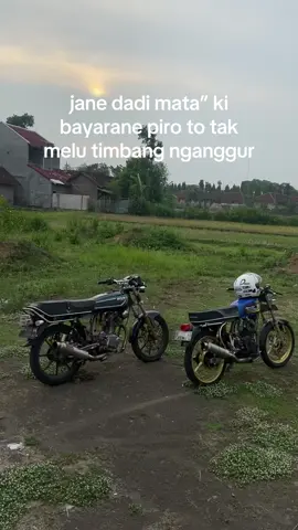 kek ono lowongan mata” aku leh ben ra nganggur kie #fyp #storytime #herex #story #herexjatim #pelitfyp #cbbeluks #gl100 #jawapride #xzycba 
