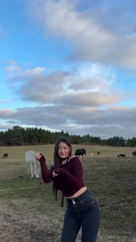 ㅎㅏ.....내가 말 앞에서 이걸하네 할 말이 없네 ... 🐎 #할말이없네 #할말이없네챌린지 #조주봉 #홍박사챌린지 