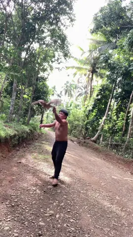 Halang halang sa bukid 