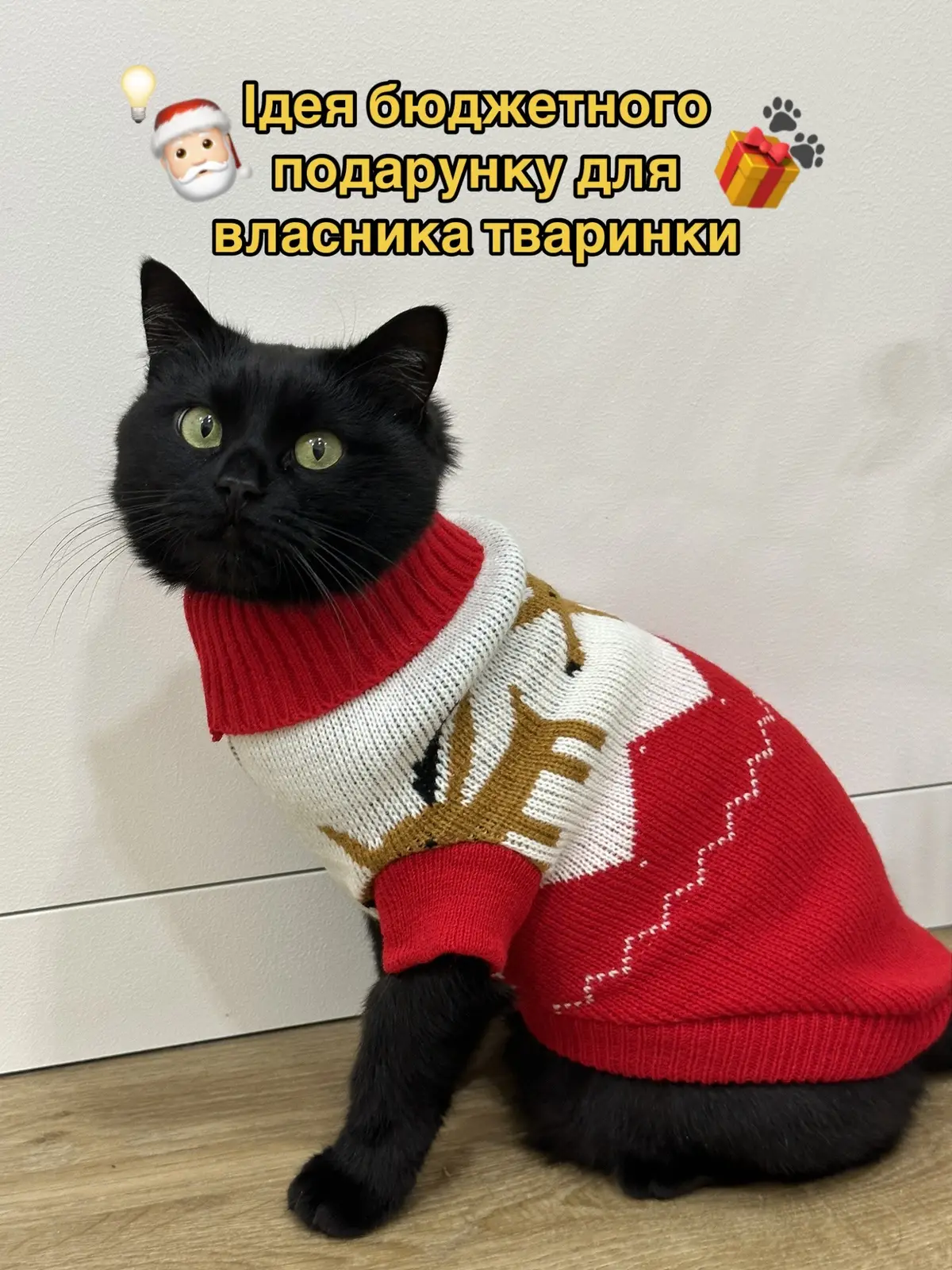 Встигніть замовити в inst: sonya_loves_robot 🥰 #кіт #котик #домашніулюбленці #ідеїподарунків 