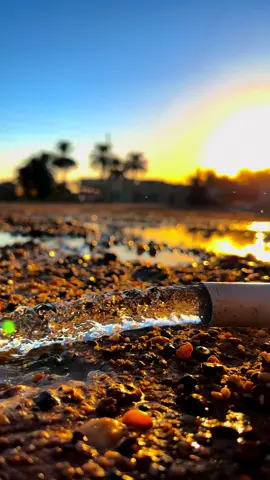 #مناضر_طبيعيه #اشجار #تصوير_الطبيعة☘️🌲📸 