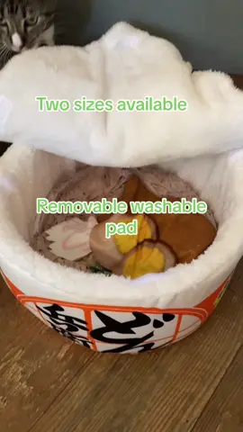Cozy Bowl of Ramen cat bed. #tiktokshopblackfriday #tiktokshopcybermonday #tiktokshop #blackfridaysale #cozyjacki #catbed 