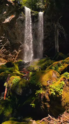 Two majestic cascades bathed in the most enchanting light 😍 #waterfalls #doublefalls #enchanted #NatureMagic #WaterfallWonder #djiglobal #godisgreat #naturegram #oregonisbeautiful #pacificnorthwest 