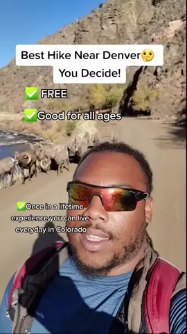 Repost from last year when I had one of the most unique hikes you can have in Colorado! The rutt is on and the Bighorn Rams are active. They've changed the safe viewing distance to 100 ft, but this hike is definitely still worth it! #cohikes #coloradoadventures #coloradowildlife #blackinnature 
