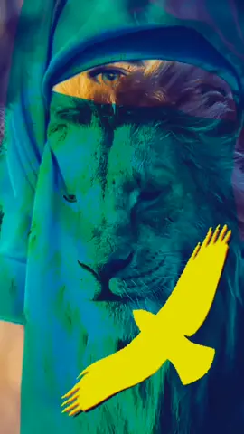 الصقر ما ينزل منها زلومه ينزل منازل عاليه مقيومه ابو الصقر 👸🦋👸 بنت النجع 🦋❤️🦋