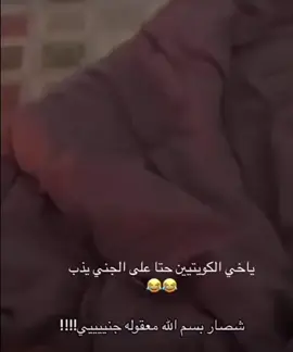 #الشعب_الصيني_ماله_حل #tiktok #ذبات_الكويتيين 