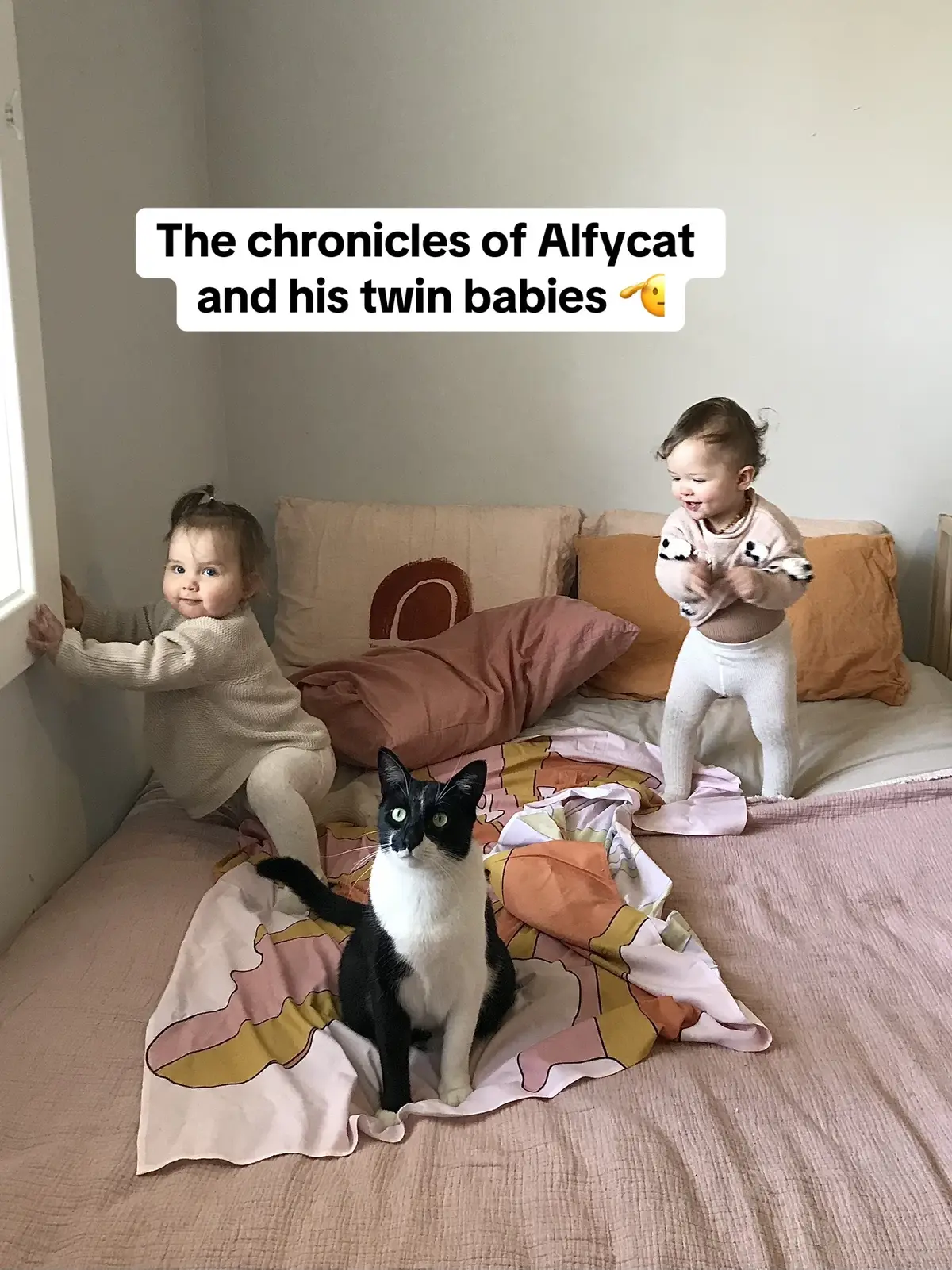 Hes been here and done this before fr 🥹♥️ PS this song is mine and Dals song so its perfect. #twins #twinsoftiktok #twinsisters #family #cat #catsoftiktok #twingirls #twinmum #twinmom #cutecat #catlover #twinpregnancy #pregnant 