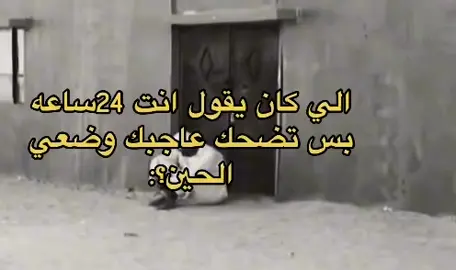 #الله_يصبحكم_بالخير #عاجبك #شعب_الصيني_ماله_حل #تبوك_الورد_تبوك_تيماء_ضباء_حقل #معليش_ع_القطعه #fyp #عباراتكم_جميلة_وقويه😉 #اكسبلور #explore #capcut #شاشه_سوداء #حركة_إكسبلور_لايك_كومنت #اضافه_لايك_كومنت_اكسبلوووررررر #حياكم_في_سنابي #بعداذنكم_لايك_متابعه 