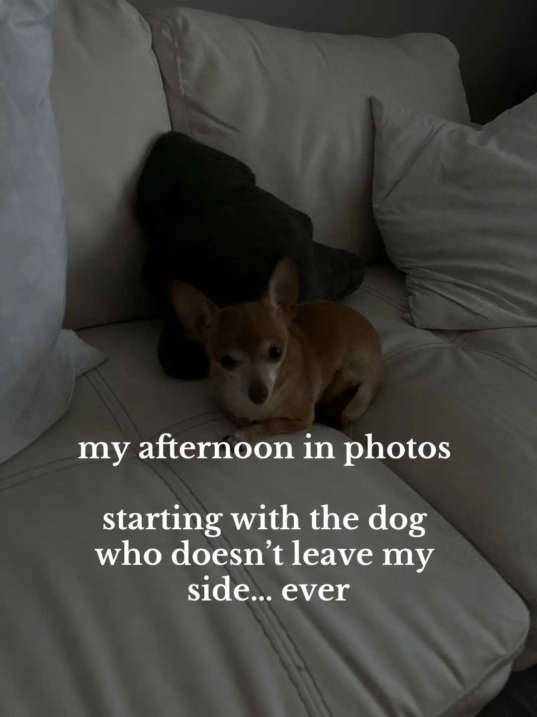 Chill days are always good days. But how cute are the goodie bags… #dayinmylife #afternooninmylife #lipinjetions #afternoonroutine 