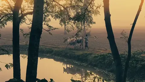 আল্লাহামদুলিল্লাহ সুন্দর একটি সকাল-!!🌄 #ইসলামিক_ভিডিও_🤲🕋🤲  #ইনশাআল্লাহ_যাবে_foryou_তে।  #tranding  #ইসলামিক_ভিডিও #islamic_ভিদেও#short_video  #treabdingvideos #vairal_short_video #like #commande #share #Md_Jahid_Hasan_Rajib #Muslim_Hakcer_BD #ছো্ঁট্টো্ঁ_ন্ঁবা্ঁব্ঁ500 