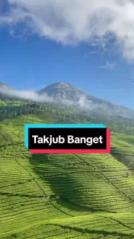 Setelah menunggu 1 jam, akhirnya kabutnya hilang dan berganti view seperti ini 🥹 Auto melongo dan takjub. Yakin kamu gak ingin main ke sini?  Tag pasangan/temanmu yuk. Video by ig jefripradewaa 📍Gunung Cilik 1550 MDPL, Kaliurip, Wonosobo, Jateng  #explorewonosobo #wonosobo #gunungcilik 