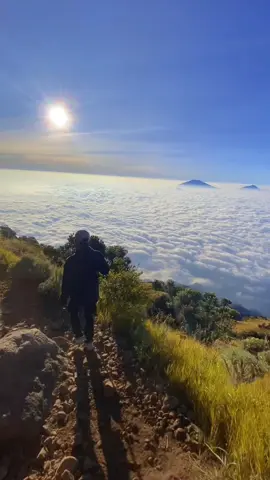 Semua orang bisa naik gunung, tapi tidak semua orang bisa dapat samudera awan😁. #gunungsumbing #gunungsumbing3371mdpl #gunungsumbingviakaliangkrik #sumbingmountain #sumbingviabutuh #fyp #kasihfyp #soundviral #gunungindonesia #pendaki #samudraawansumbing #samuderaawan 