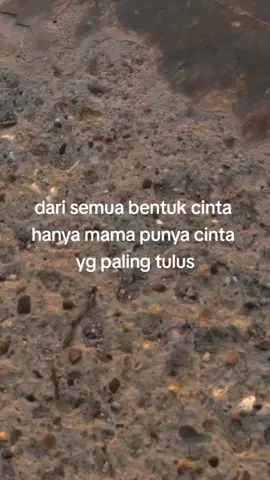 #fypシ゚viral #nttpride🏝🔥 #kupangviral #kupangtiktok 