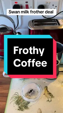 #milkfrother #milkfrotherforcoffee #swan @Swan Brand UK #ad 