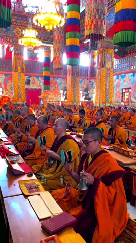 Lama kheno 🙏#buddhist #CapCut #flypシ #foryoupage #tiktoknepal🇳🇵 #flypシ゚viral🖤tiktok #monklife❤️🙏 #trending 