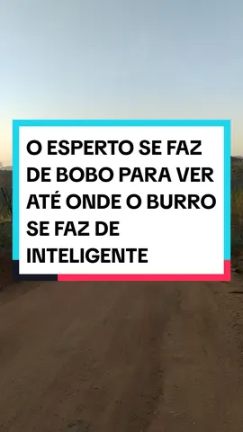 O ESPERTO SE FAZ DE BOBO PARA VER ATÉ ONDE O BURRO SE FAZ DE INTELIGENTE #reflexao #foryoupage #bomdiaaaaa #foryou 