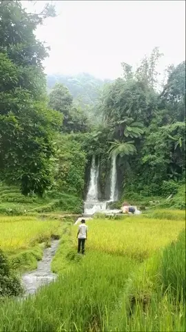 Desa Wisata Kiarasari #pedesaan #pedesaansunda #bogor#wisatabogor #jawabaratpunya#pedesaanjawabarat#pesonaindonesia#urangbogor #urangsundaasli