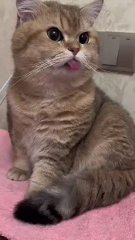 ☺️