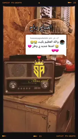 الرد على @hassanyagoubelshi  #سارة_محمد_عبدالله  #الصباح_رباح 