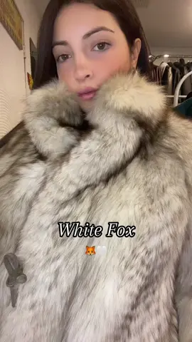 Volpe bianca vintage #dodicishopvintage #whitefox #fox #fur #pelliccia #pellicce #vintage #furs #volpebianca #vintage #mina #joec 
