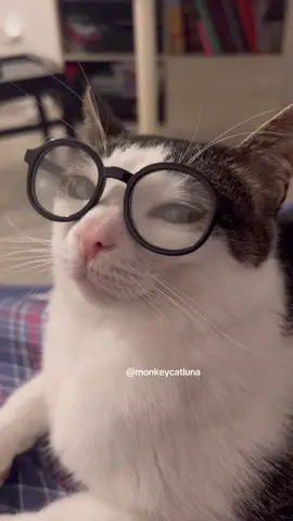 🤓☝️