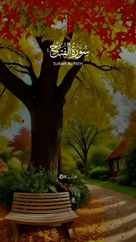 Al-Fath | Raad Al Kurdi                                                YouTube (Zee Al Quran) @Zee القرآن                                  #allah #zeealquran #quran #viral #fyp #alquran #recitation #tilawet #beautifulquranrecitation #raadalkurdy 