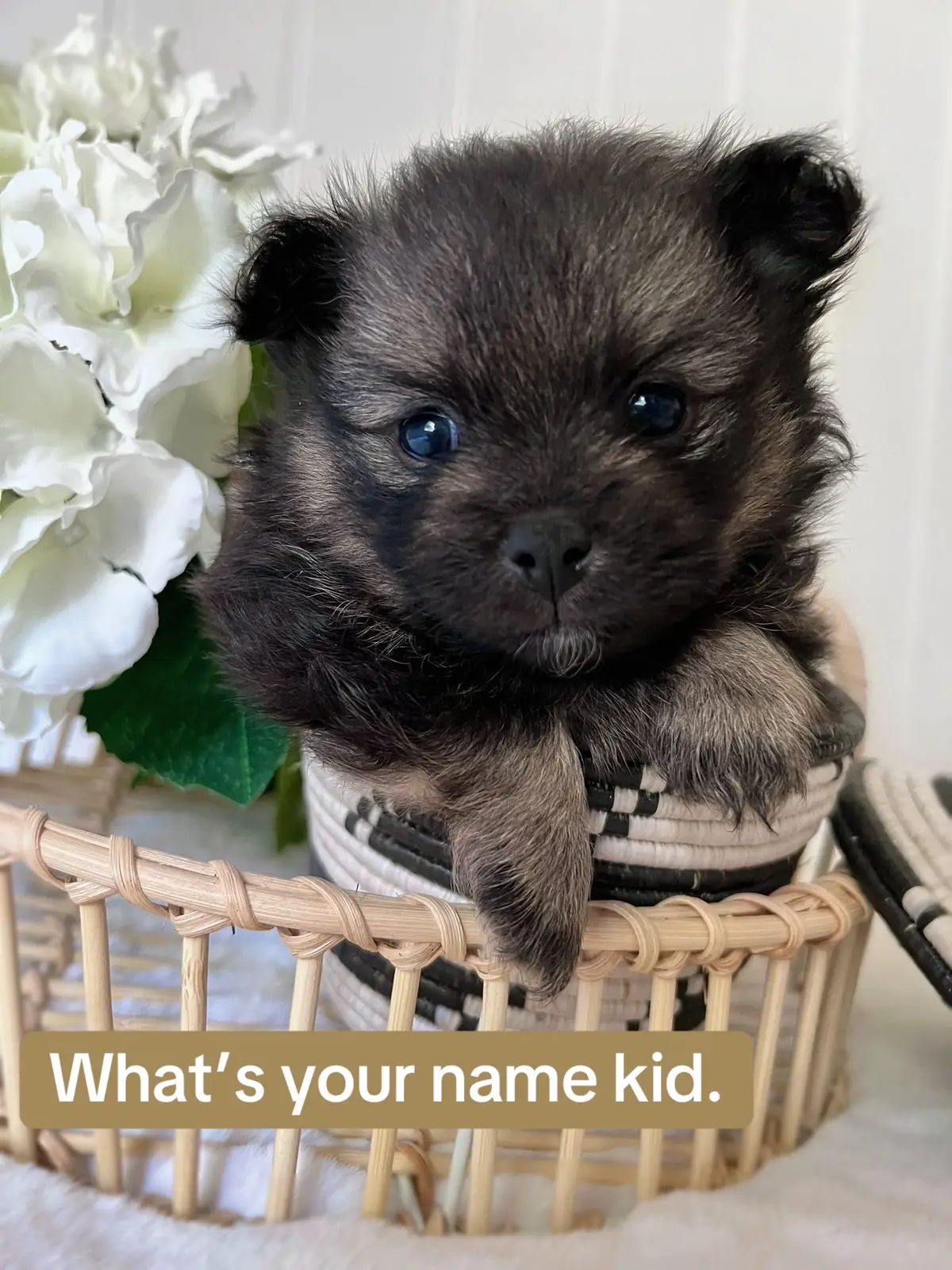 Be a bby again 