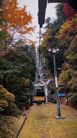 Hiking Mt Takao on cloudy day, super cold for November but good thing that it isn’t as crowded as during sunny day.  (Side note I went last year with perfect weather and the queue for everything was 3 times longer than today).  Still, the foliage is just perfect and definitely worth every steps. #autumn #autumninjapan #高尾 #東京